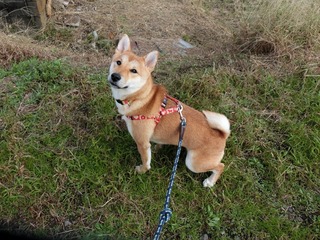 E5F503EB-16E5-4272-987E-53A2F9D98689.jpeg