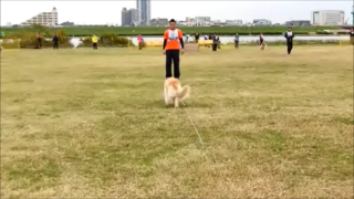 本部D.png