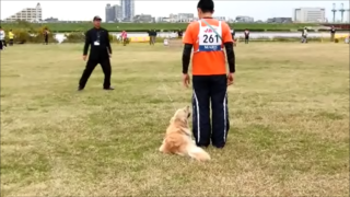 本部E.png