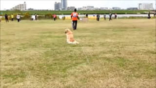 本部H.png