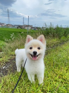 E86943A9-829F-4D15-8B40-3F0565087D0B.jpeg