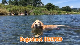 EA325134-E6DA-47ED-90A8-9C652C59A07D.jpeg