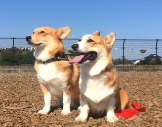 EBBCA519-F8D2-43EF-B06F-0A9F328FA6E0.jpeg
