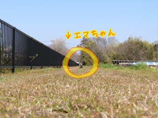 EBE9A8DF-1C42-4207-BC63-8B323A7C086A.jpeg
