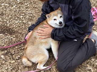 F0E78EA5-9A2B-48CA-AF75-3328E1331238.jpeg