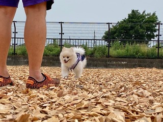 F61577E7-7ADA-499C-82CC-C8211D2E1CC3.jpeg
