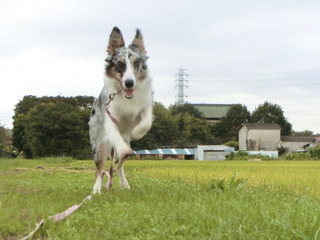 FE38676D-983B-4824-BC8F-25C057BF693F.jpeg