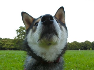 image.jpeg