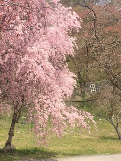 image1.jpg